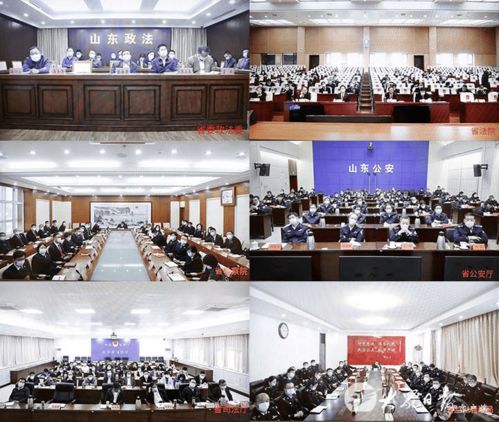 第二批政法隊伍教育整頓工作推進(jìn)會召開