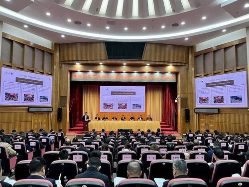 南海區(qū)宣傳思想文化暨網(wǎng)絡(luò)安全和信息化工作會議召開